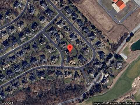Rock Dove, PHOENIXVILLE, PA 19460