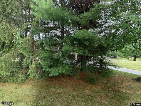 Apple Tree, GLEN MILLS, PA 19342