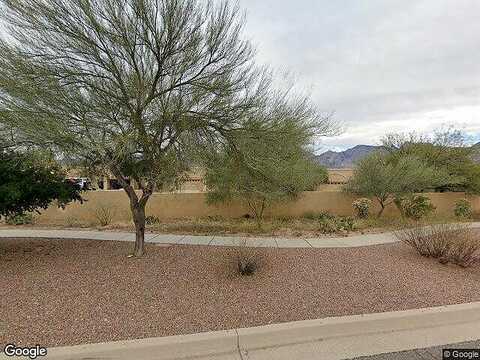 Running Coyote, TUCSON, AZ 85755