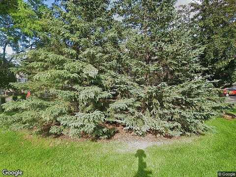 Zealand, CHAMPLIN, MN 55316