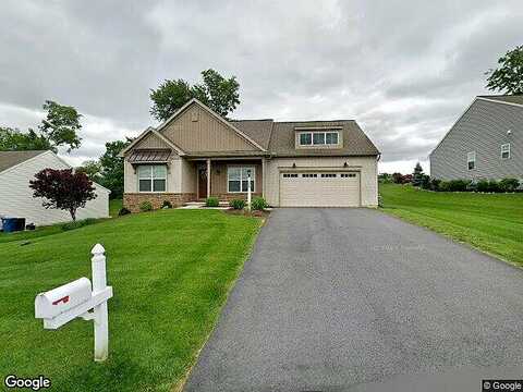 Rosebush, WOMELSDORF, PA 19567