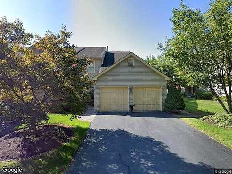 Bridle, AMBLER, PA 19002