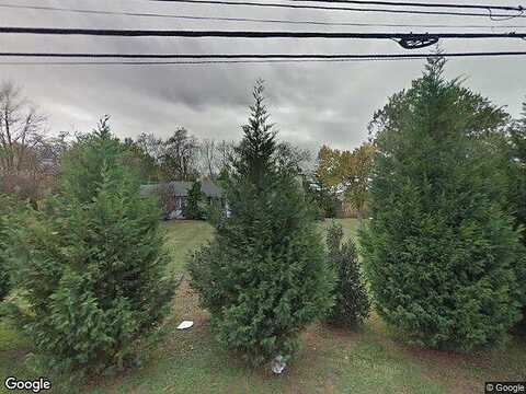 Welsh, AMBLER, PA 19002