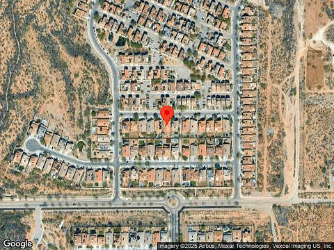 English Daisy, TUCSON, AZ 85747