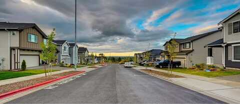 Panoramic, BREMERTON, WA 98312