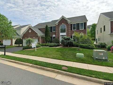 Paper Birch, LORTON, VA 22079