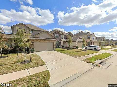 Cypress Shumard Oak, CYPRESS, TX 77433