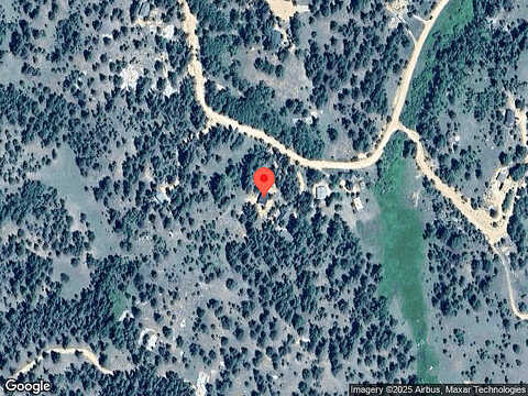 Pinon, FLORISSANT, CO 80816