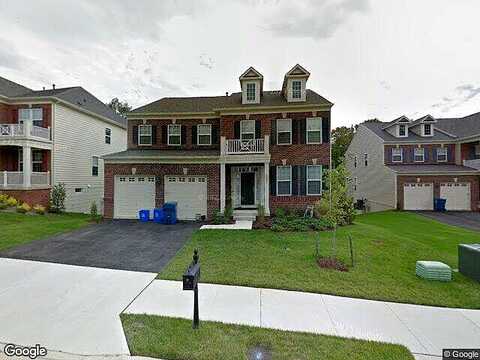 Basha, ALEXANDRIA, VA 22310