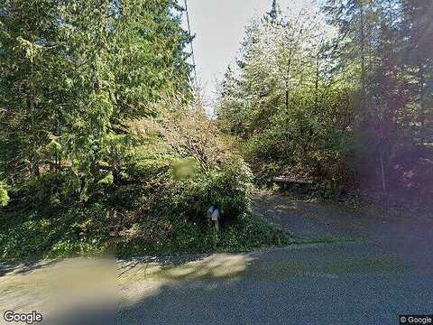 Bulldog, LACEY, WA 98503