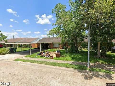 Dalmatian, HOUSTON, TX 77045