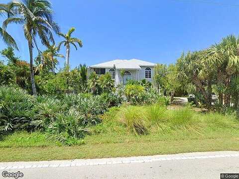 Rabbit, SANIBEL, FL 33957