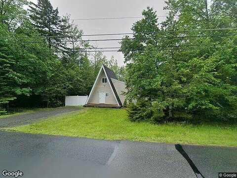 Scotch Pine, POCONO SUMMIT, PA 18346