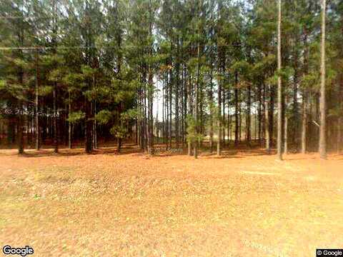 Pulaski, METTER, GA 30439