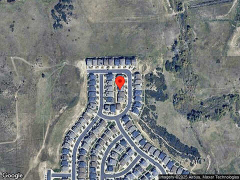 Loon, CASTLE ROCK, CO 80104