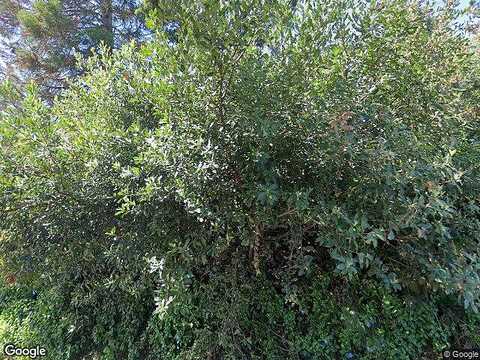 Birch, MARTINEZ, CA 94553