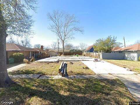 Parakeet, HOUSTON, TX 77034