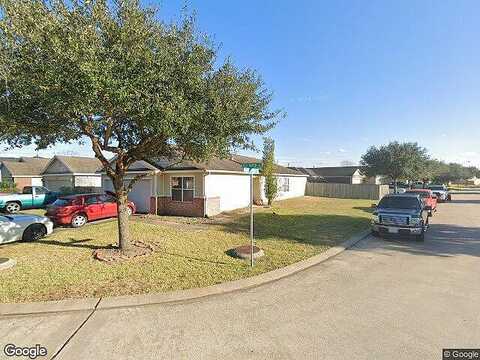 Wild Yaupon, CYPRESS, TX 77433