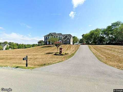 Wild Raspberry, PURCELLVILLE, VA 20132