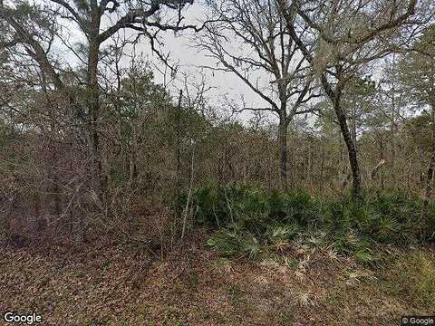 Mairdale, WEEKI WACHEE, FL 34614