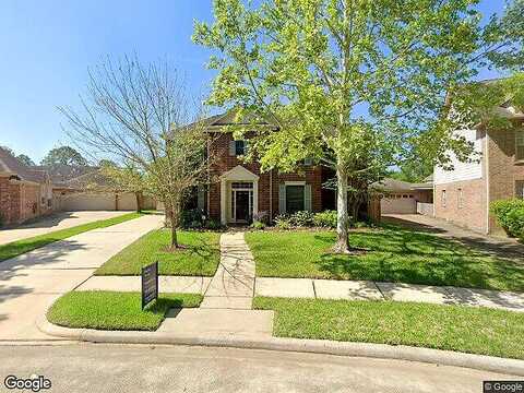 Island Palm, HOUSTON, TX 77059
