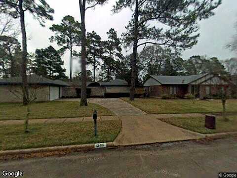 Pantano, HOUSTON, TX 77065