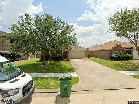Ocelot, HOUSTON, TX 77034