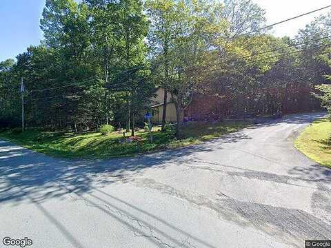 Buttercup, MILFORD, PA 18337