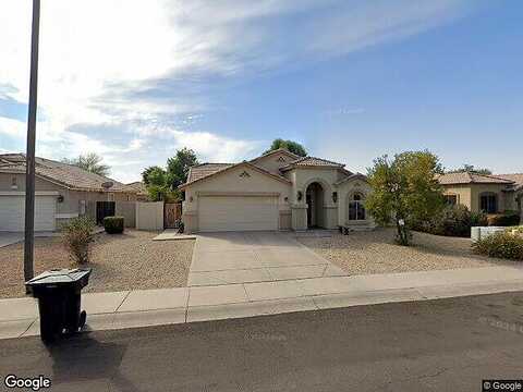 Warbler, GILBERT, AZ 85297