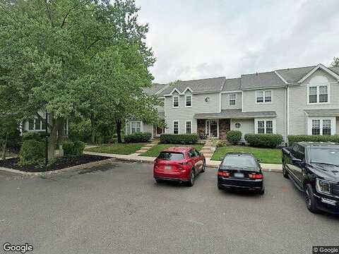 Red Maple, AMBLER, PA 19002