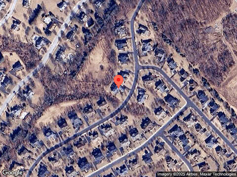 Goldfinch, PHOENIXVILLE, PA 19460