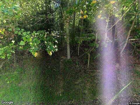 Buffalo Mountain, WILLIS, VA 24380