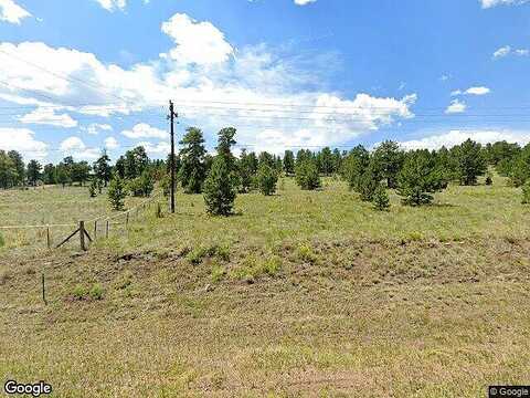 County Rd 102, GUFFEY, CO 80820