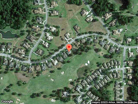 Thoroughbred, DADE CITY, FL 33525