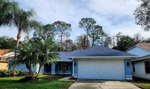 Fox Chapel, TAMPA, FL 33647