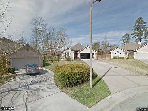 Parkside, WILLIS, TX 77318