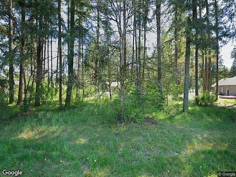 173Rd, ROCHESTER, WA 98579