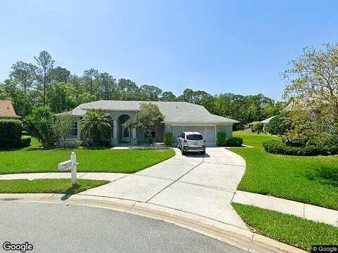 Primula, NEW PORT RICHEY, FL 34654