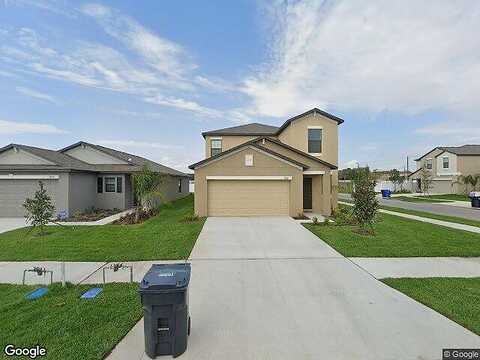 Blue Iris, TAMPA, FL 33619