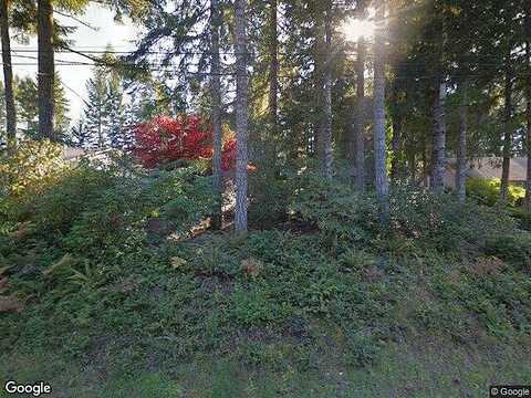 Shetland, SHELTON, WA 98584