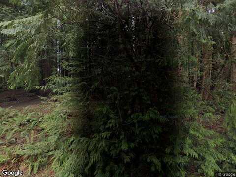 185Th, BONNEY LAKE, WA 98391