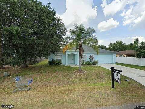 Polynesian, KISSIMMEE, FL 34758