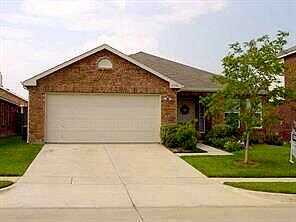 Photinia, DENTON, TX 76208