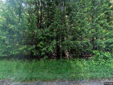 Mt Baker, DEMING, WA 98244