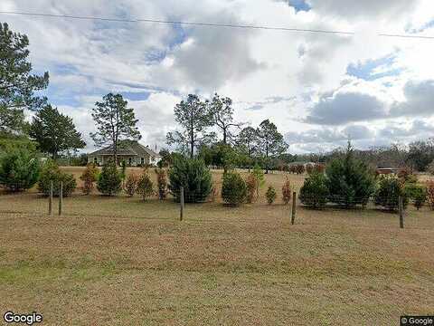 Chestnut, MOLINO, FL 32577