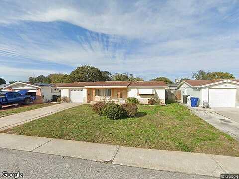 Falcon, HOLIDAY, FL 34690