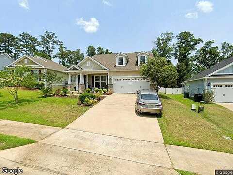 Holly Fern, TALLAHASSEE, FL 32312