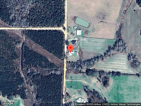 Canary, GRACEVILLE, FL 32440
