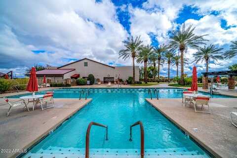 Narrowleaf, GILBERT, AZ 85298