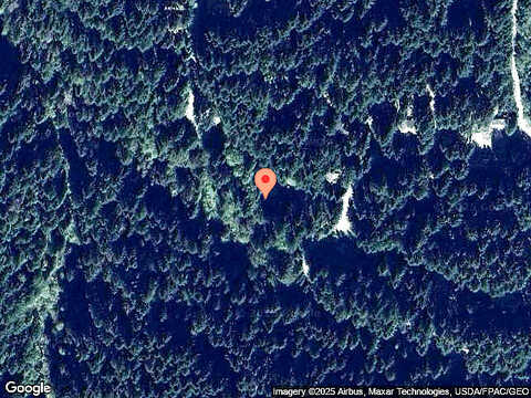 Salal, BELLINGHAM, WA 98229